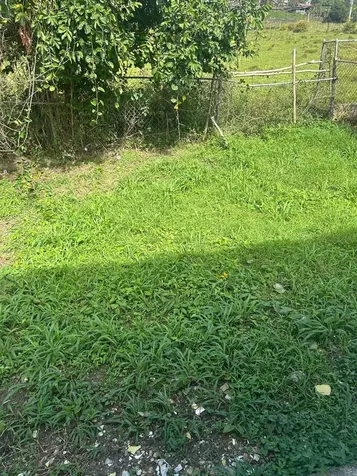 6 _ Las Piedras PR 00771