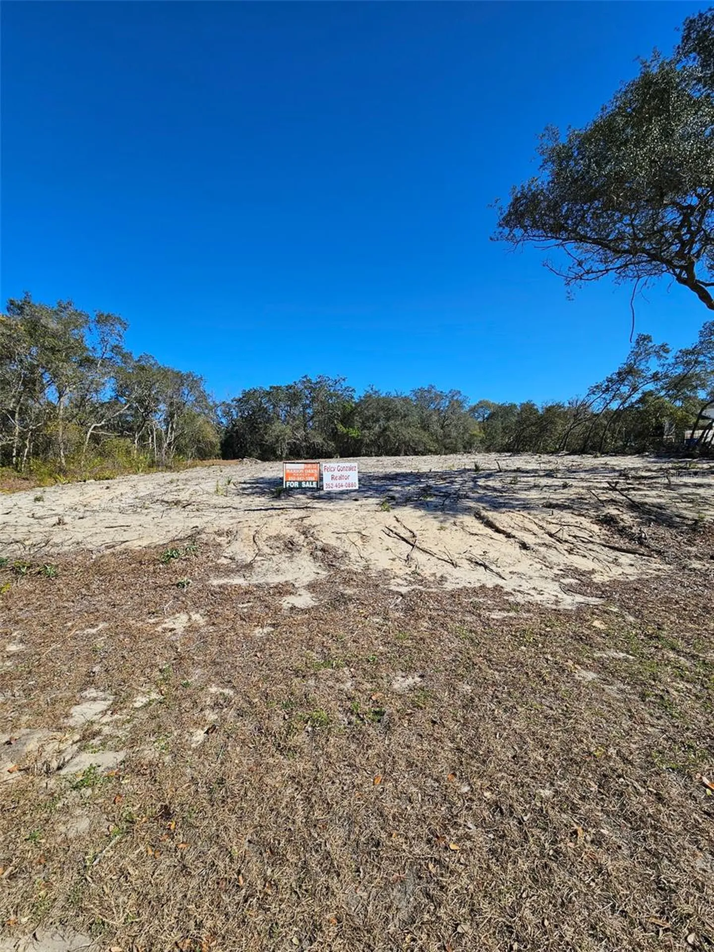 Tba Marion Oaks Boulevard Ocala FL 34473