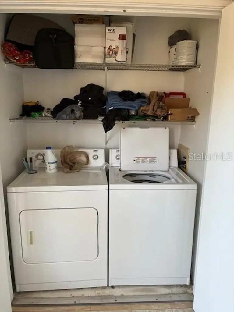 3806 N Oak Drive Tampa FL 33611