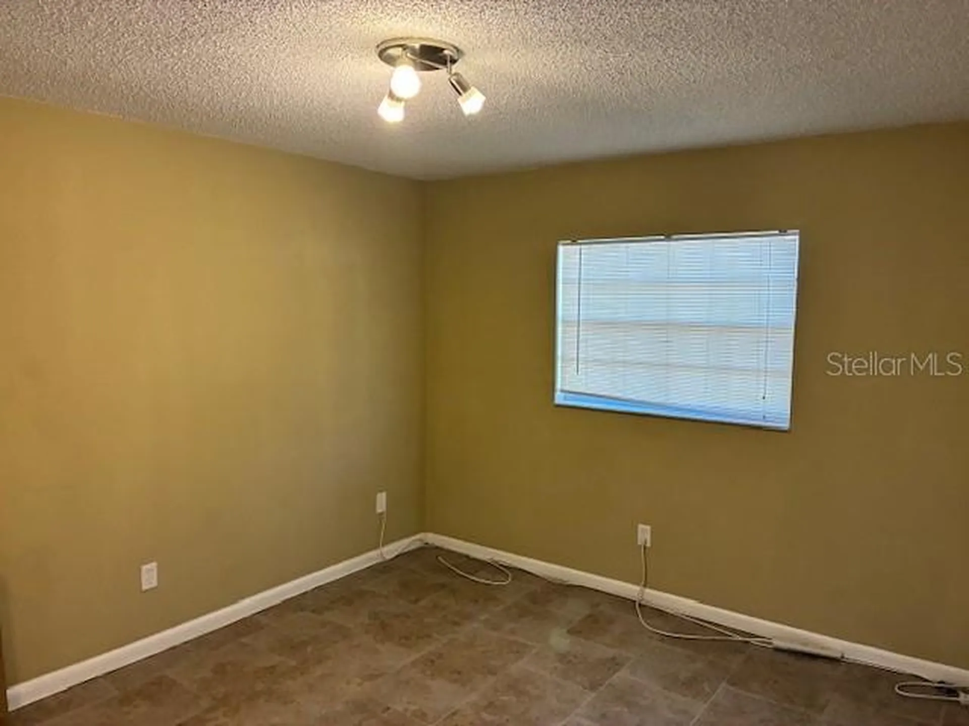 3806 N Oak Drive Tampa FL 33611