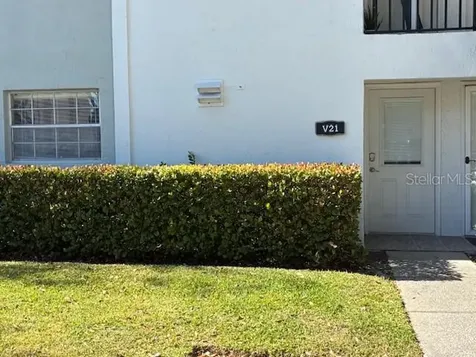 3806 N Oak Drive Tampa FL 33611