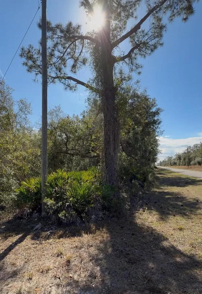 923 Gaillardia Drive Indian Lake Estates FL 33855