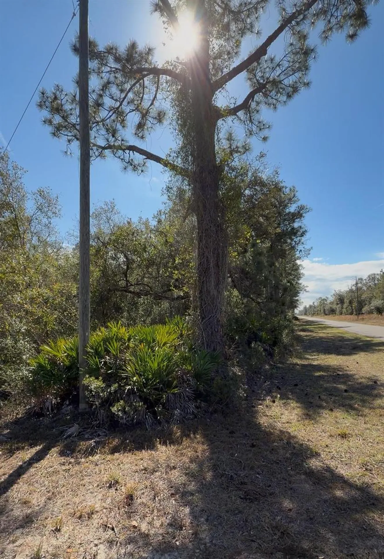 923 Gaillardia Drive Indian Lake Estates FL 33855
