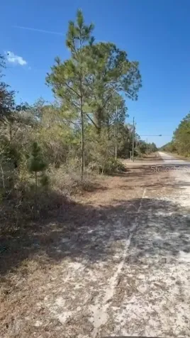 923 Gaillardia Drive Indian Lake Estates FL 33855