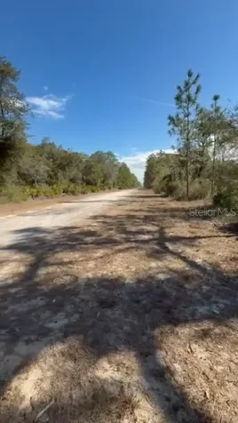 923 Gaillardia Drive Indian Lake Estates FL 33855
