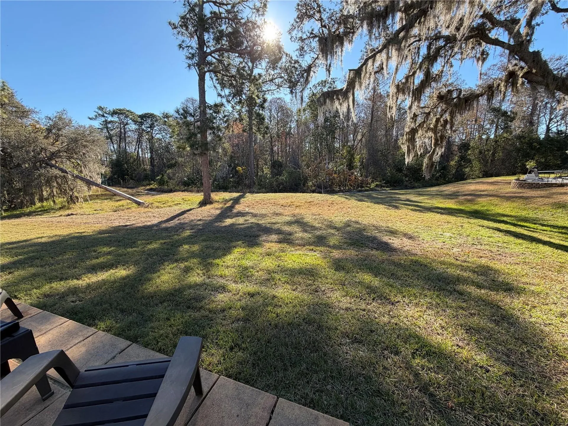 10512 Millriver Drive New Port Richey FL 34654