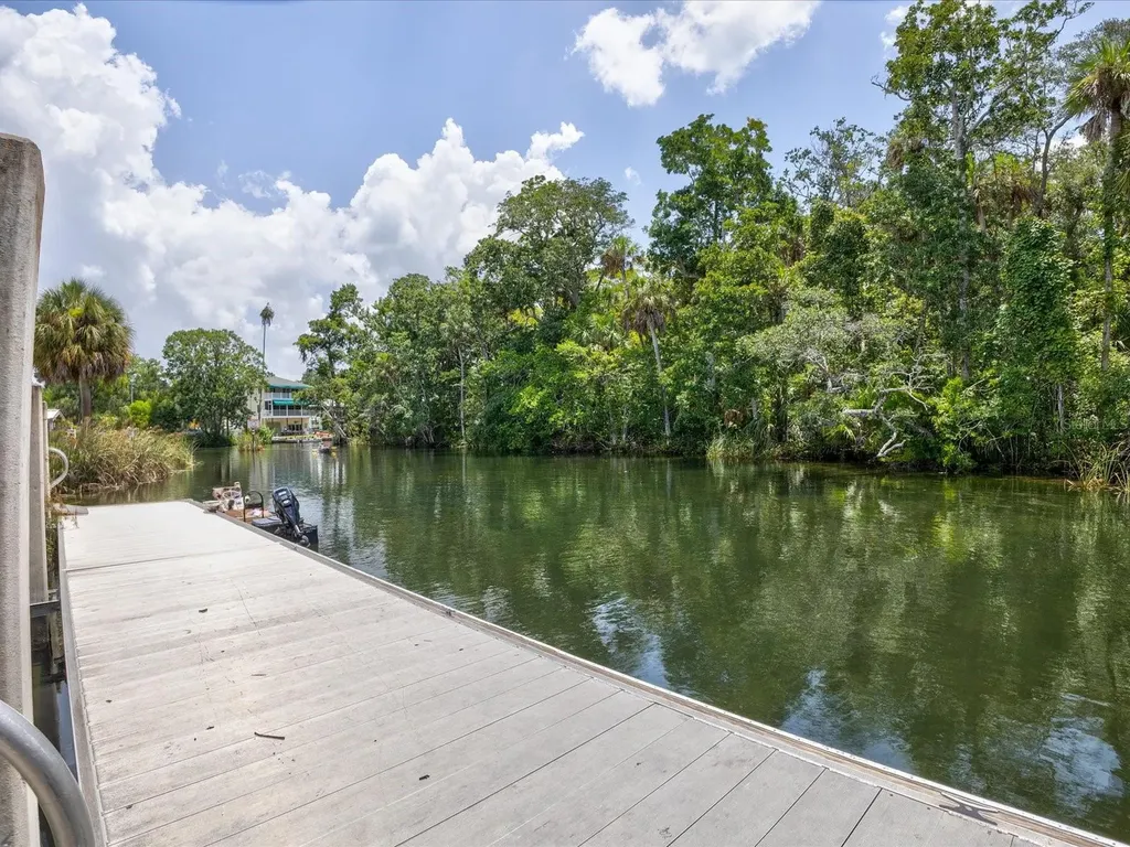 4290 Carlos Court Hernando Beach FL 34607