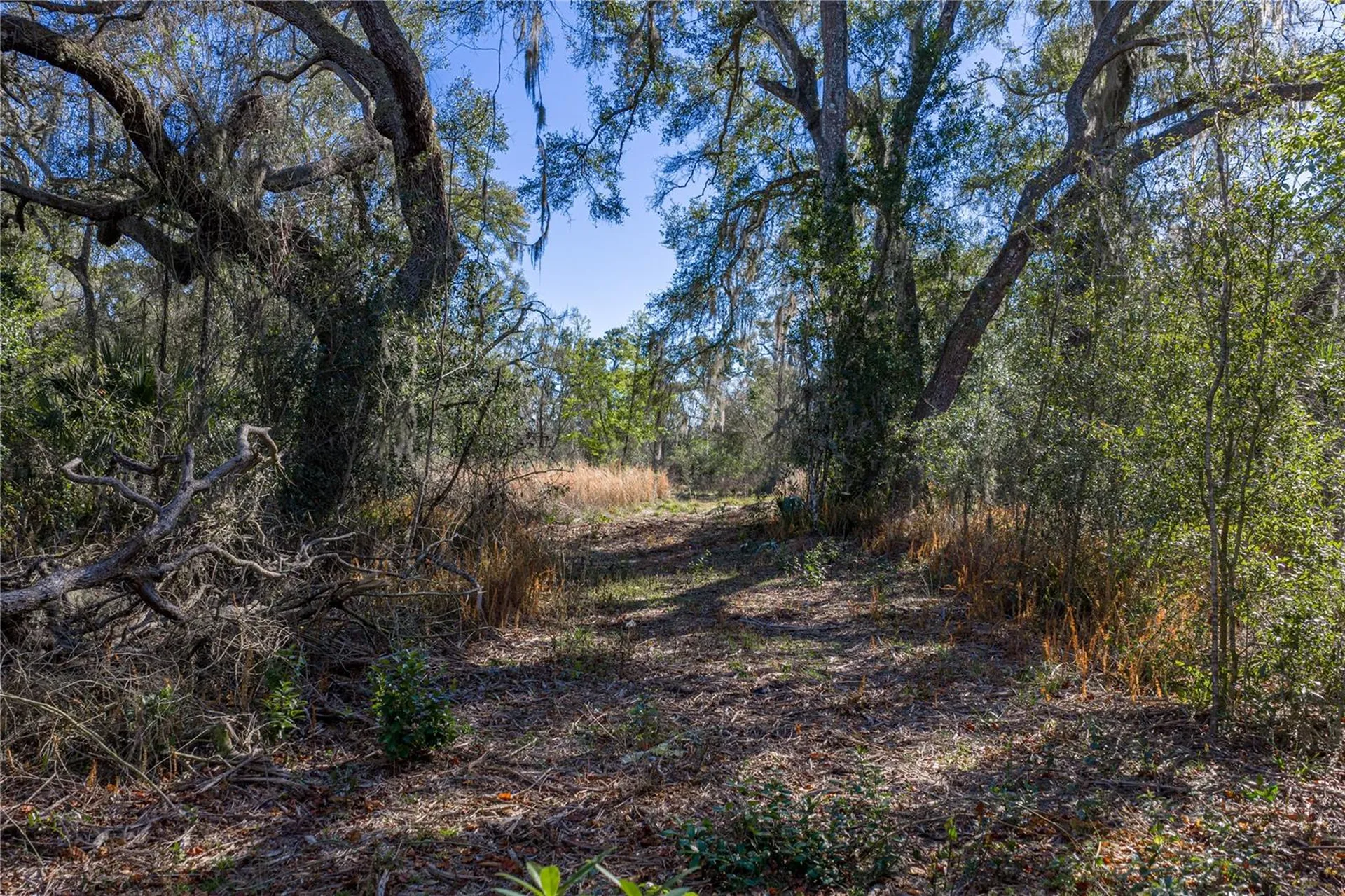 0 Rowntree Drive Dade City FL 33523