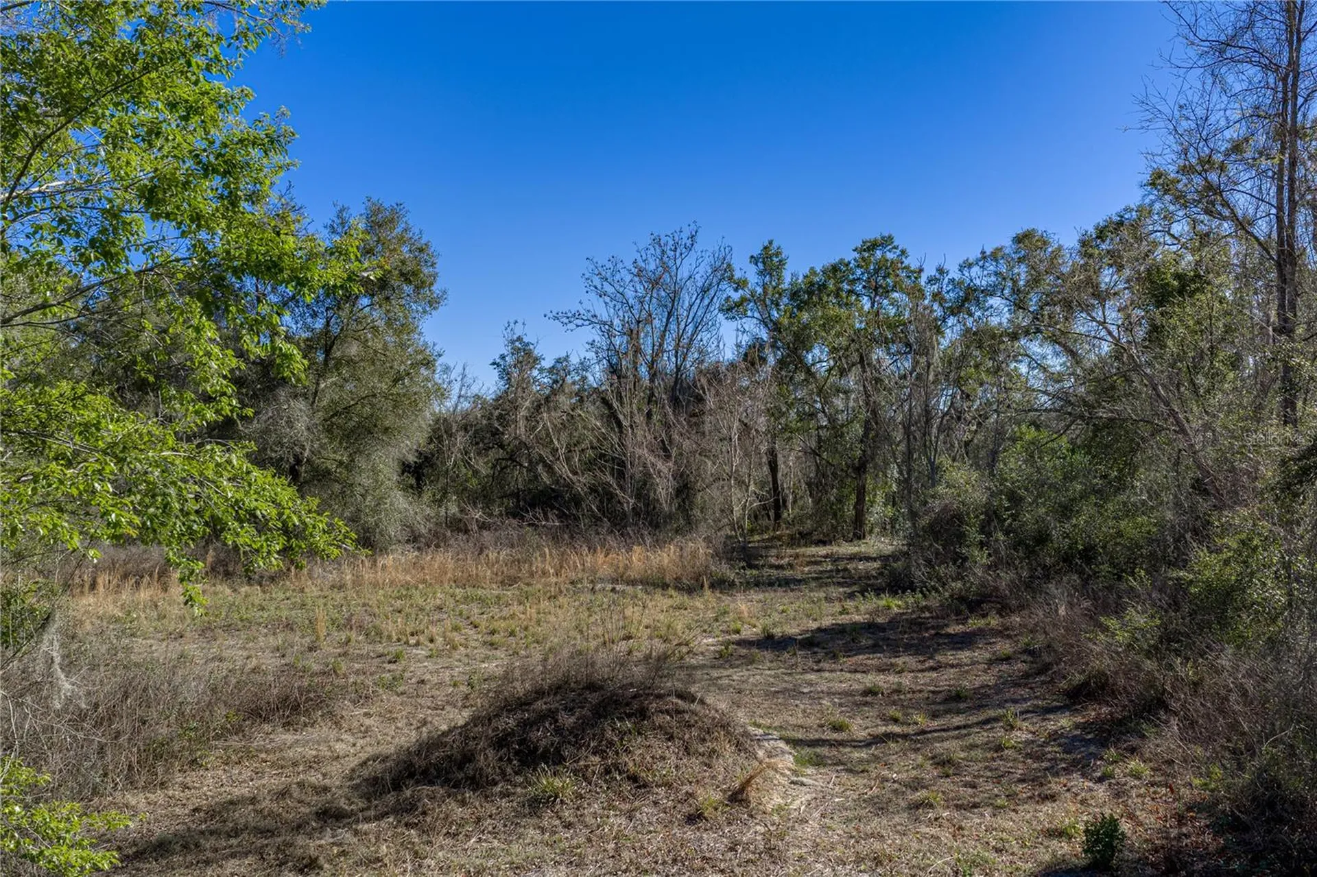 0 Rowntree Drive Dade City FL 33523