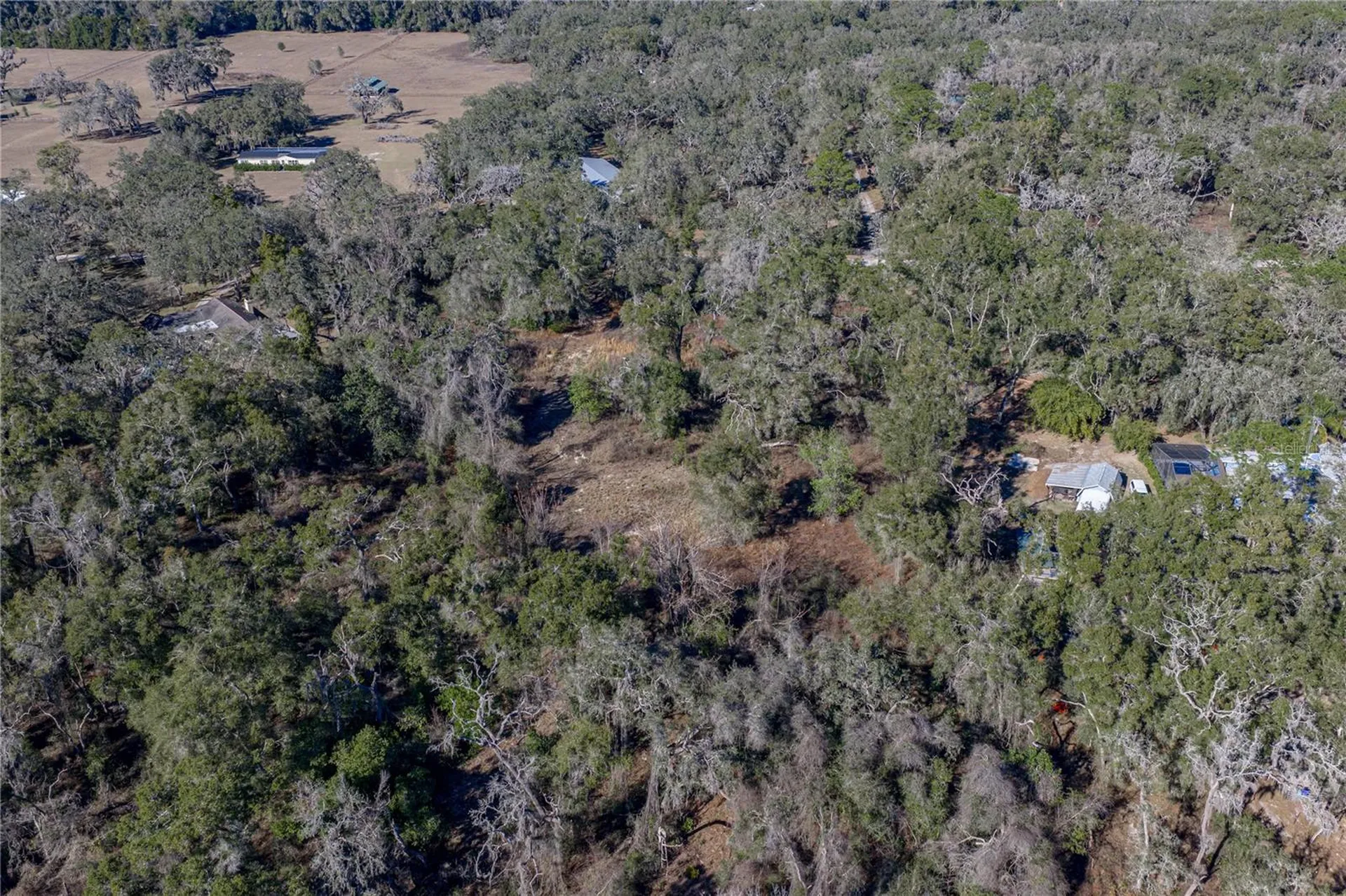 0 Rowntree Drive Dade City FL 33523