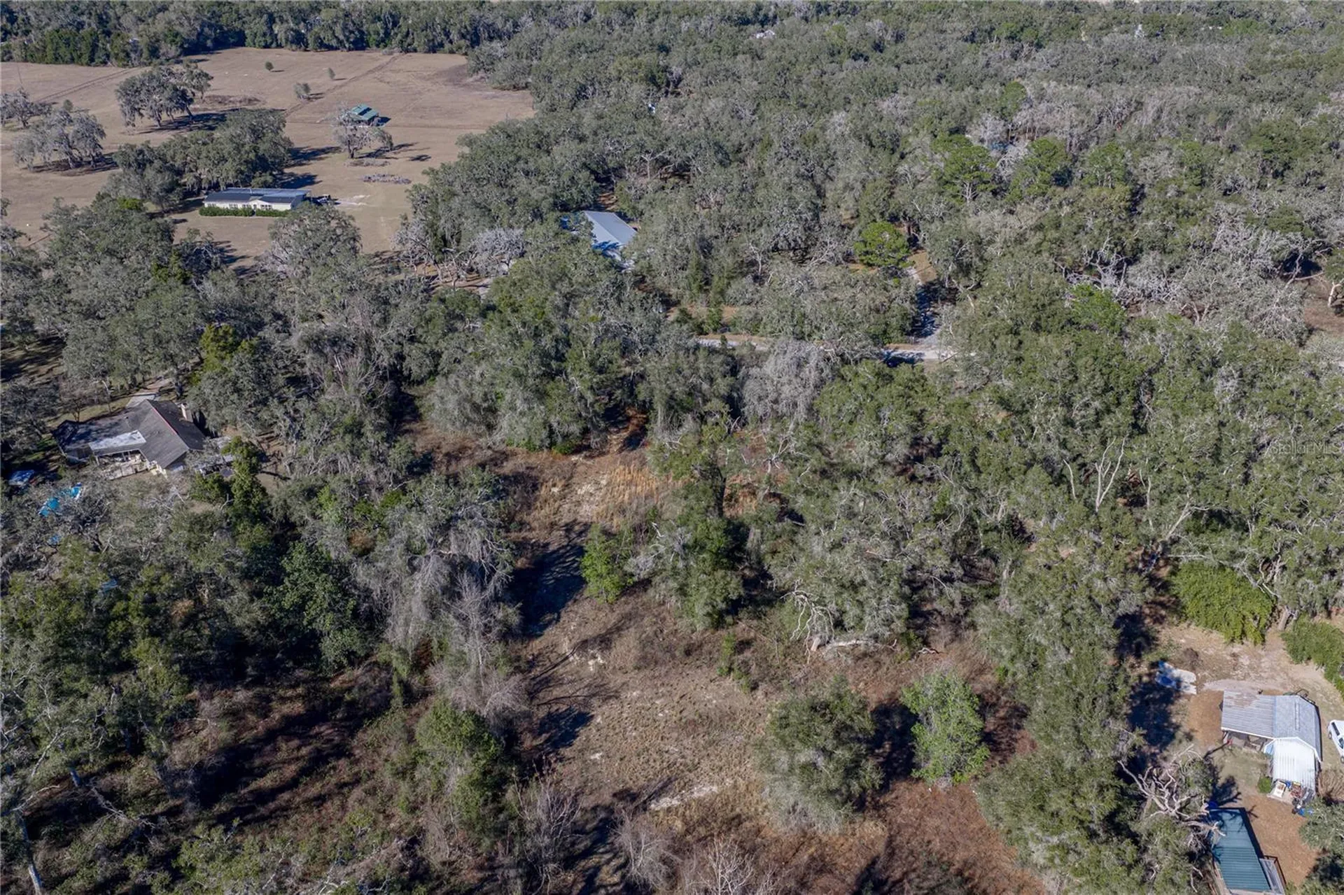 0 Rowntree Drive Dade City FL 33523