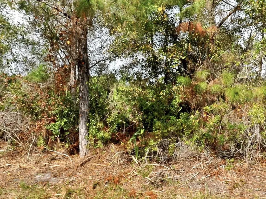 Ohio Road North Port FL 34291