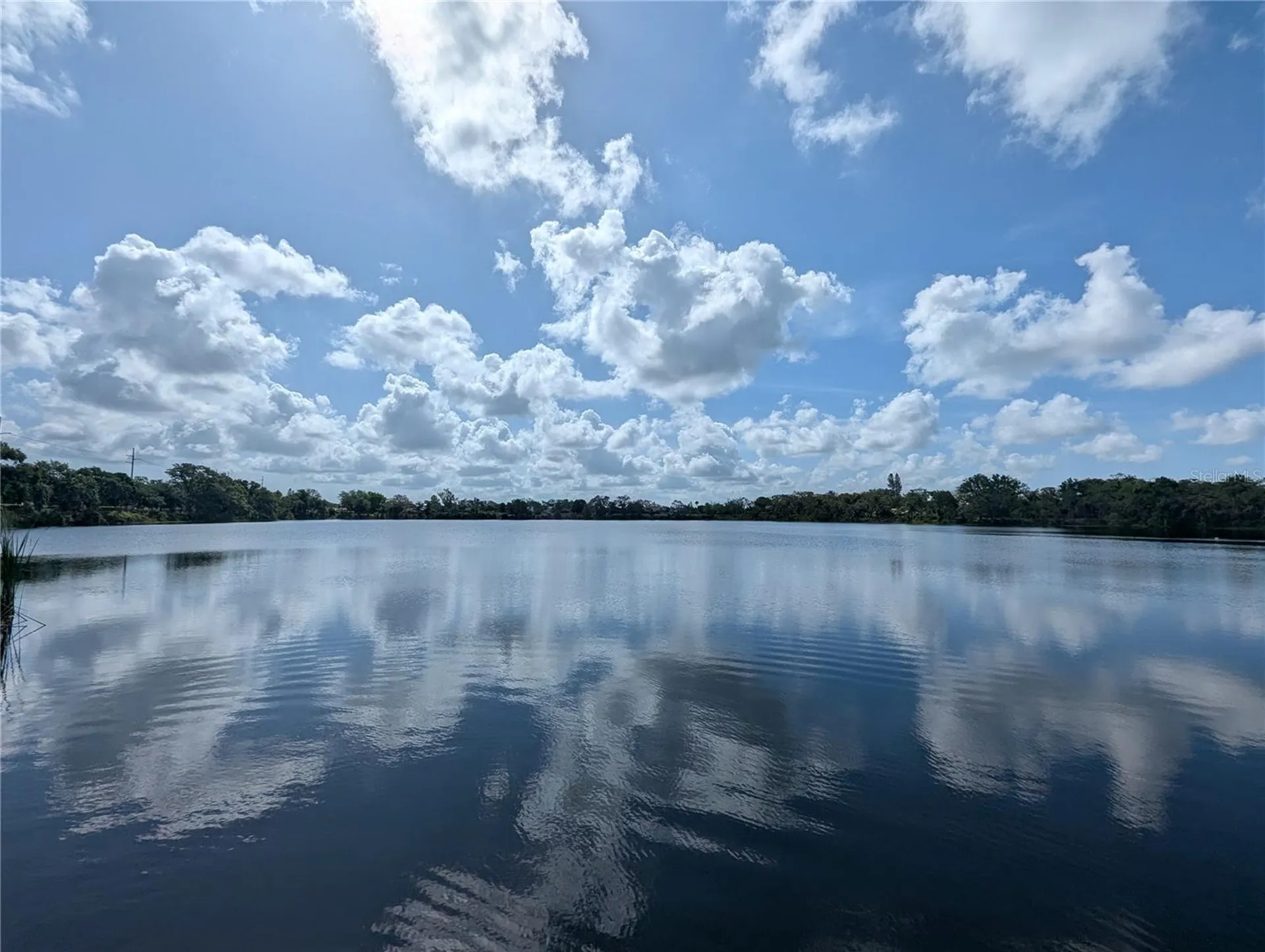 12660 118th Street Largo FL 33778