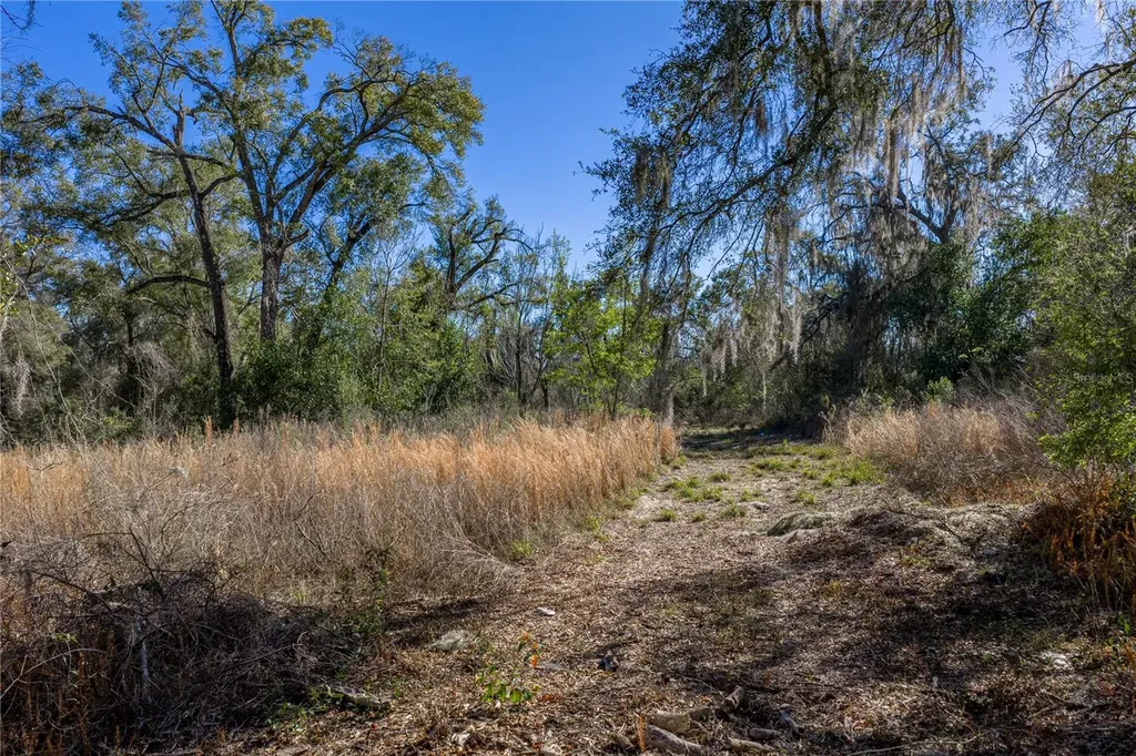 00 Rowntree Drive Dade City FL 33523