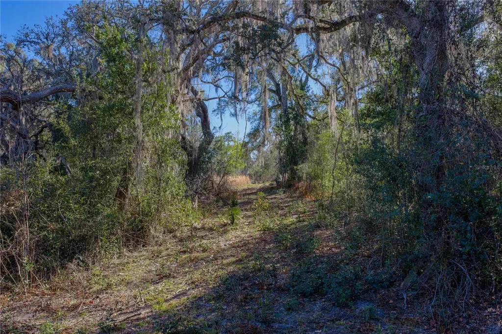 00 Rowntree Drive Dade City FL 33523