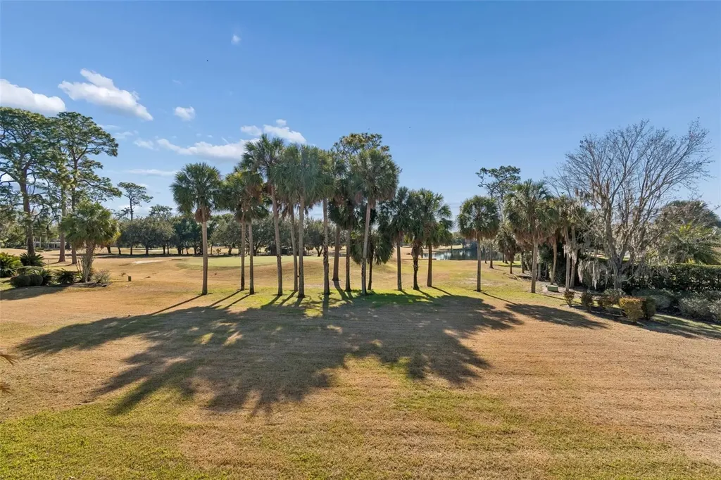 29244 Whipporwill Lane Wesley Chapel FL 33543