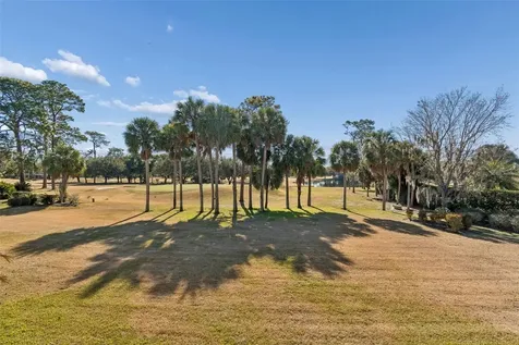 29244 Whipporwill Lane Wesley Chapel FL 33543
