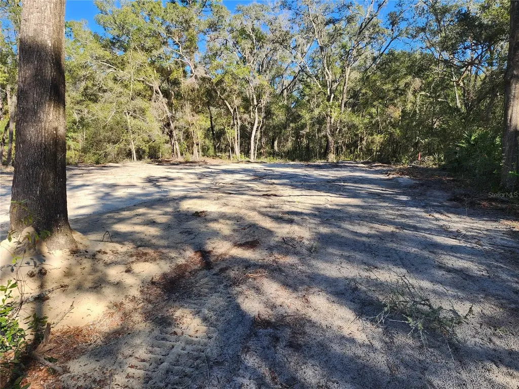 7513 W Dunklin Street Dunnellon FL 34433