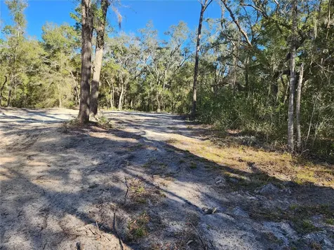 7513 W Dunklin Street Dunnellon FL 34433