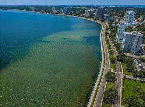 3411 W Bay Avenue Tampa FL 33611