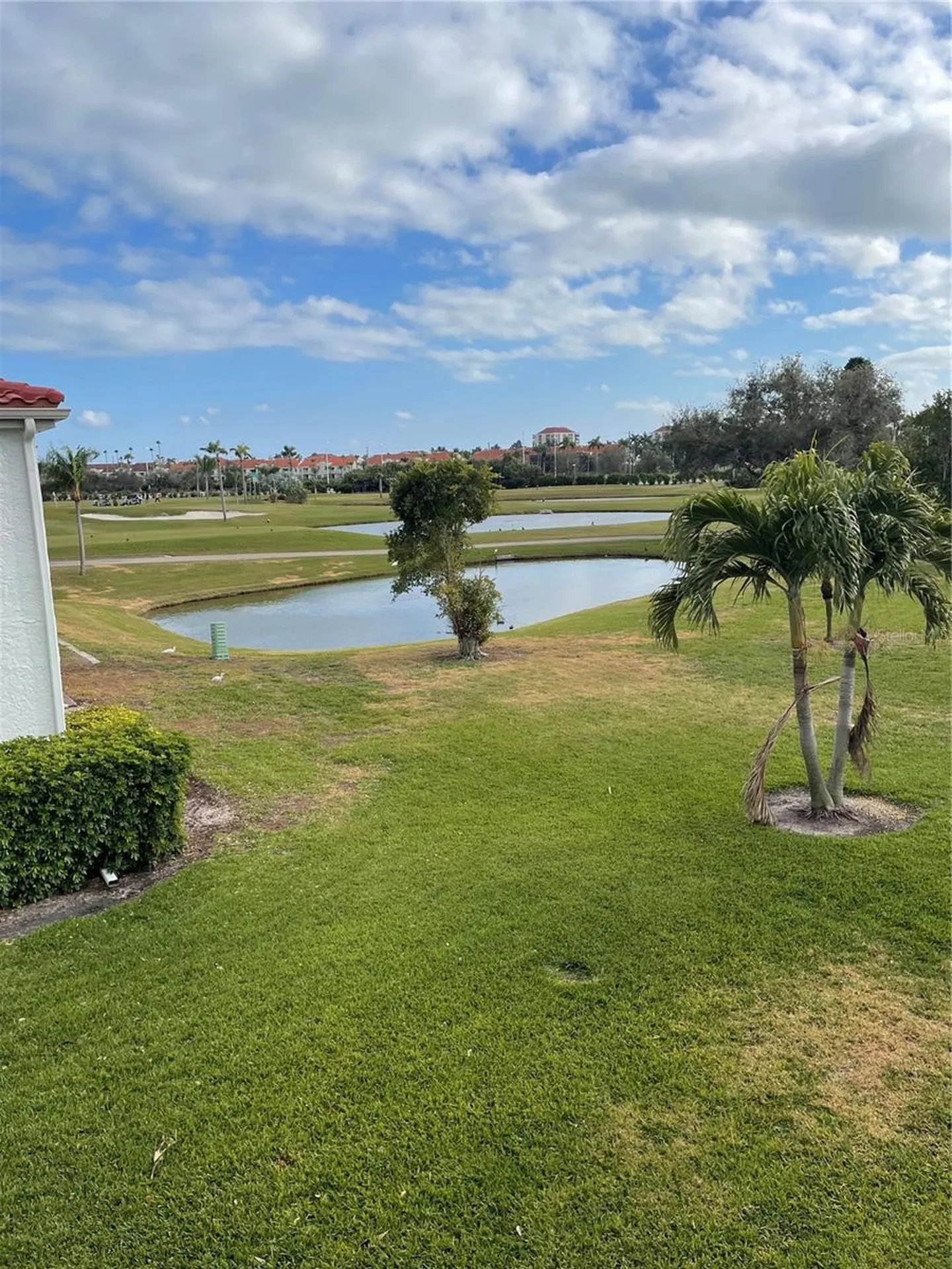6260 Sun Boulevard St Petersburg FL 33715