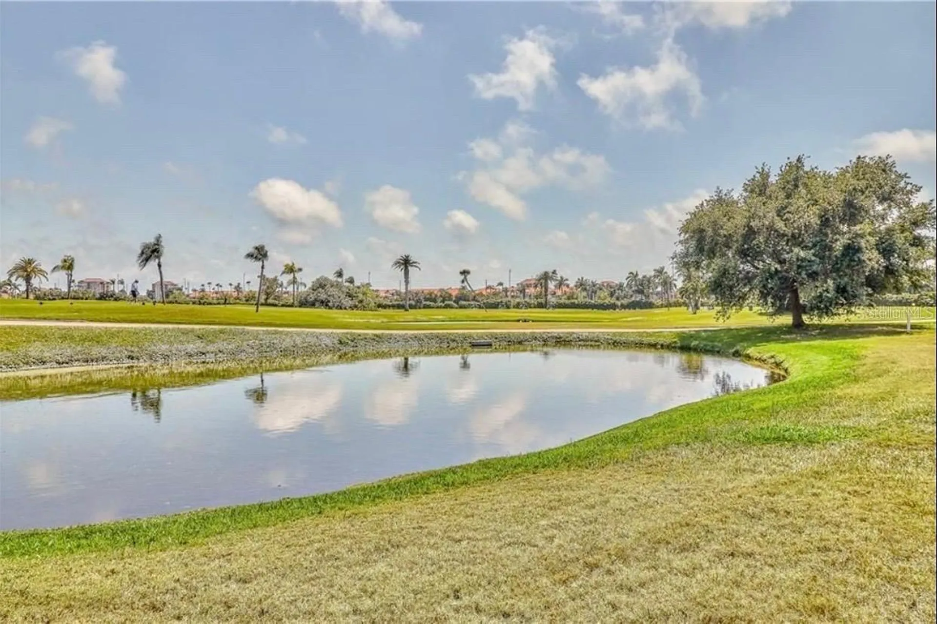 6260 Sun Boulevard St Petersburg FL 33715