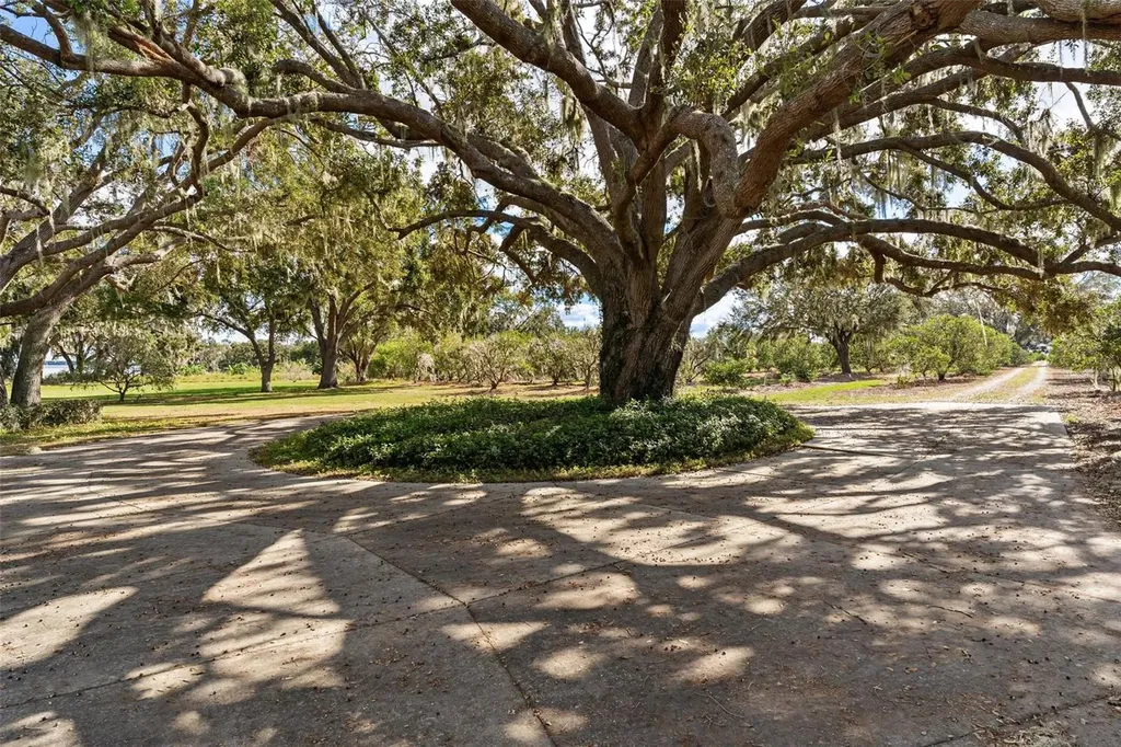 38230 Yale Circle Leesburg FL 34788