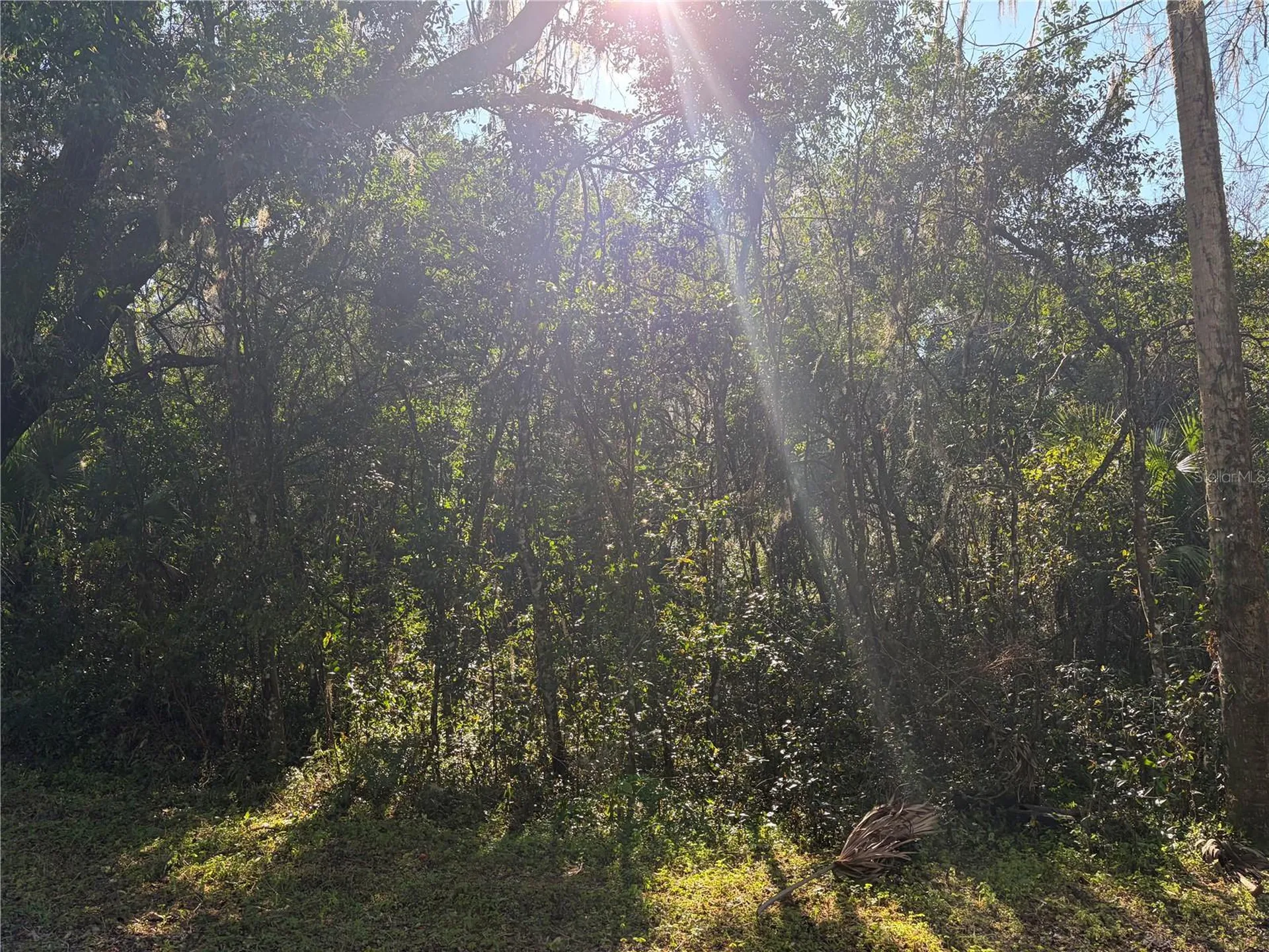 Lot 16 Quebec Avenue De Leon Springs FL 32130