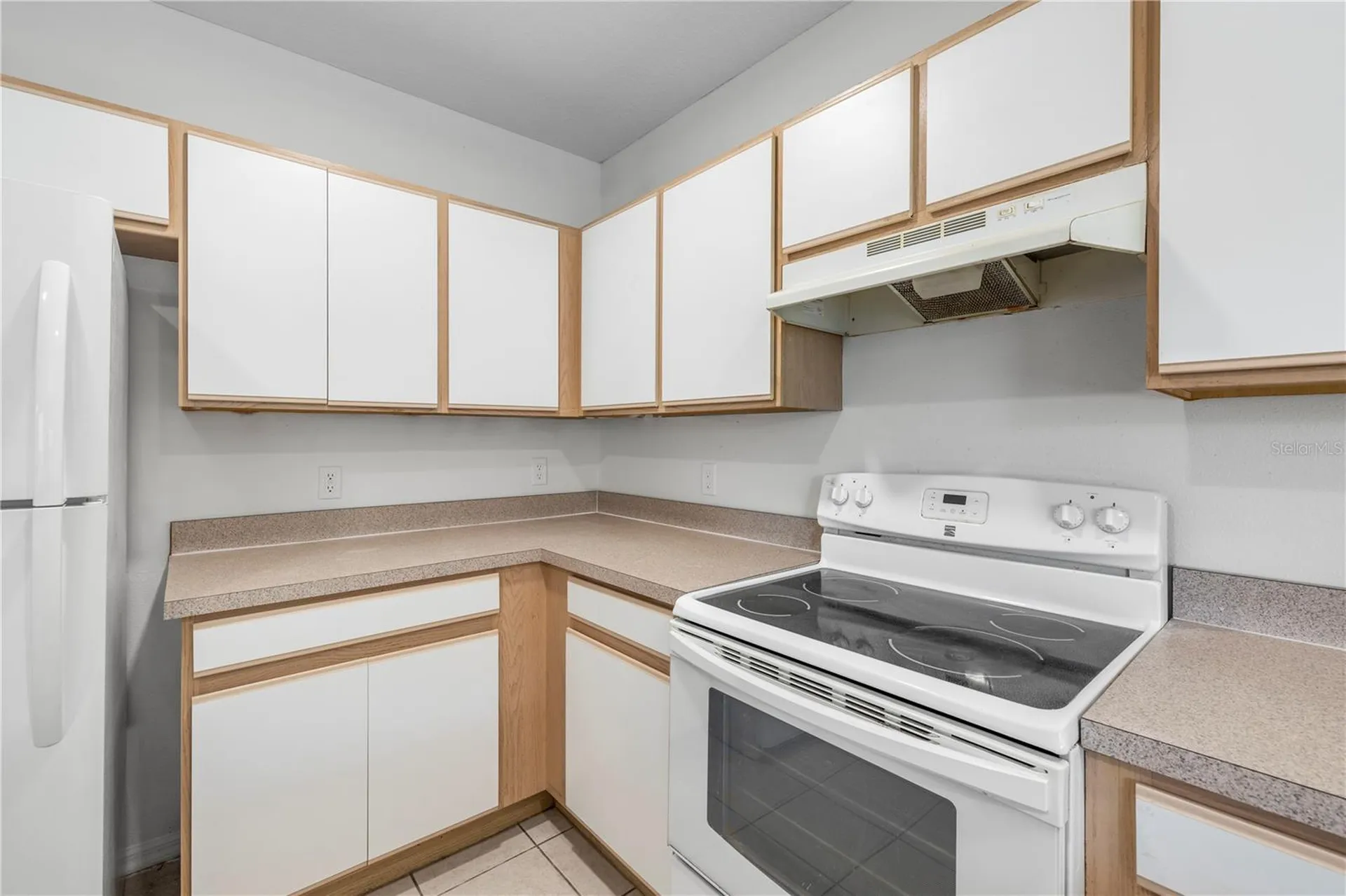 6229 Olivedale Drive Riverview FL 33578