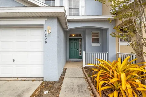 6229 Olivedale Drive Riverview FL 33578