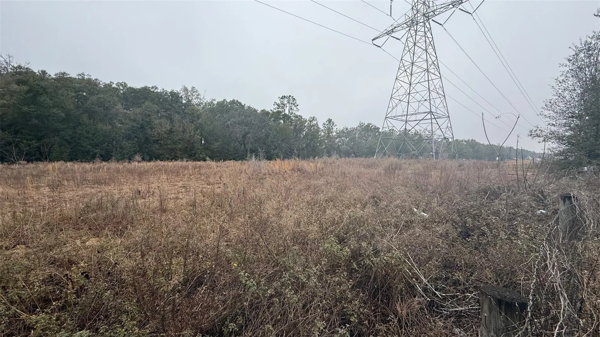 12656 SE 78th Terrace Belleview FL 34420