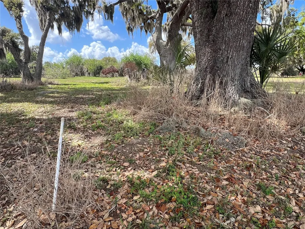 0 Apiary Circle Grand Island FL 32735