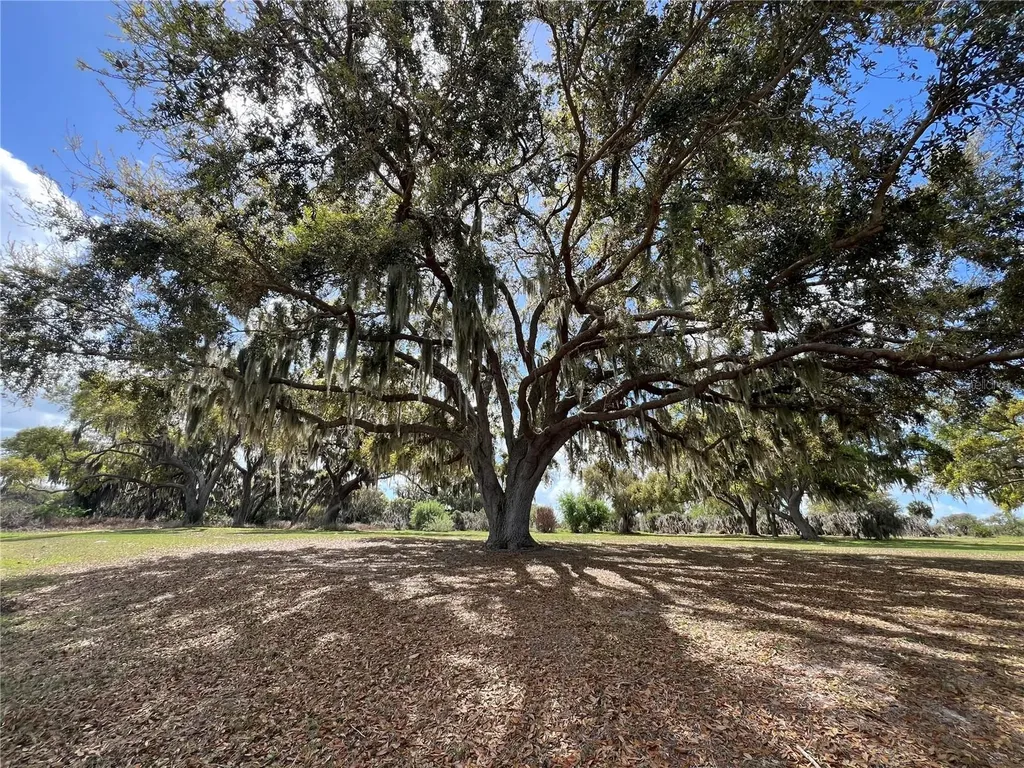 0 Apiary Circle Grand Island FL 32735