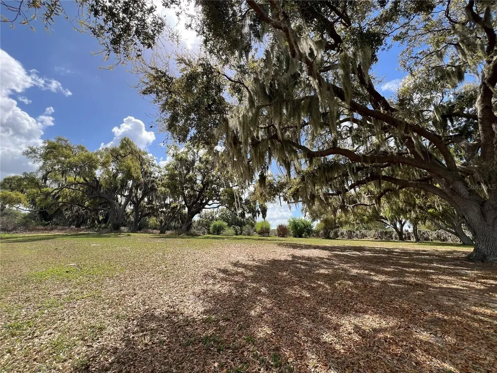 0 Apiary Circle Grand Island FL 32735