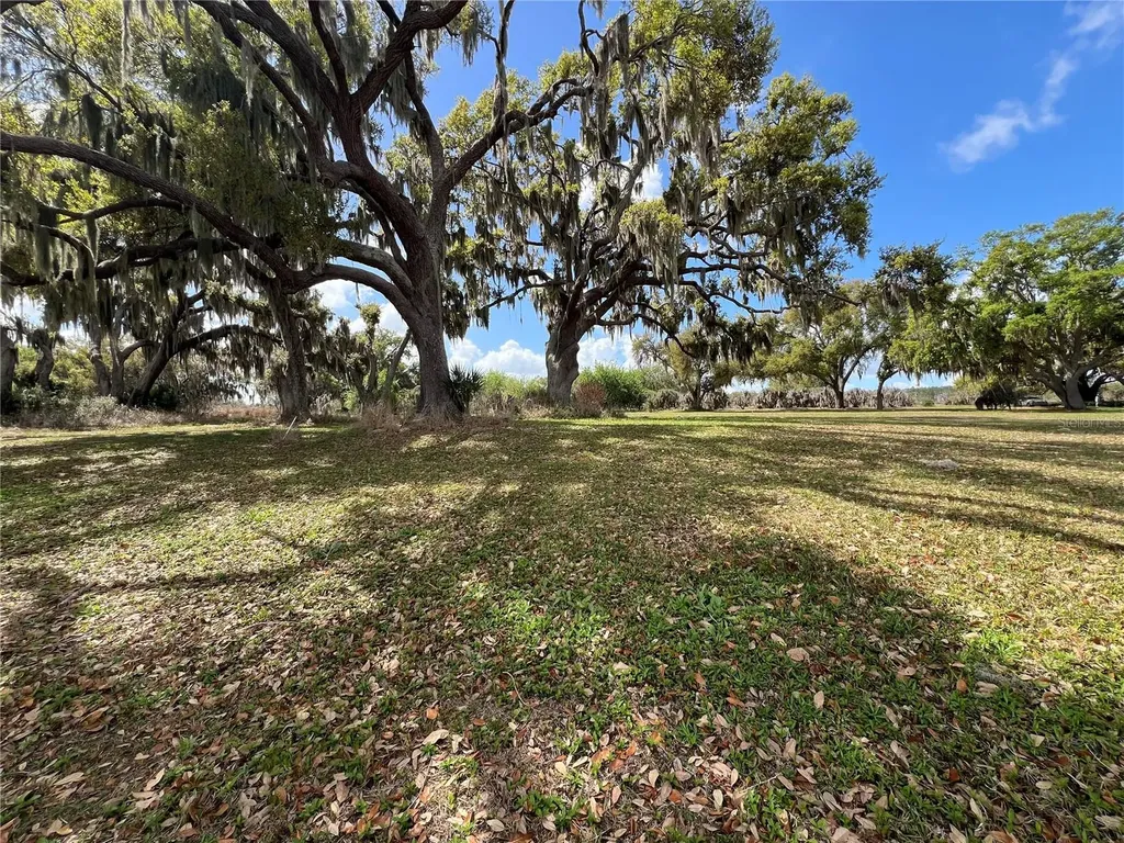 0 Apiary Circle Grand Island FL 32735