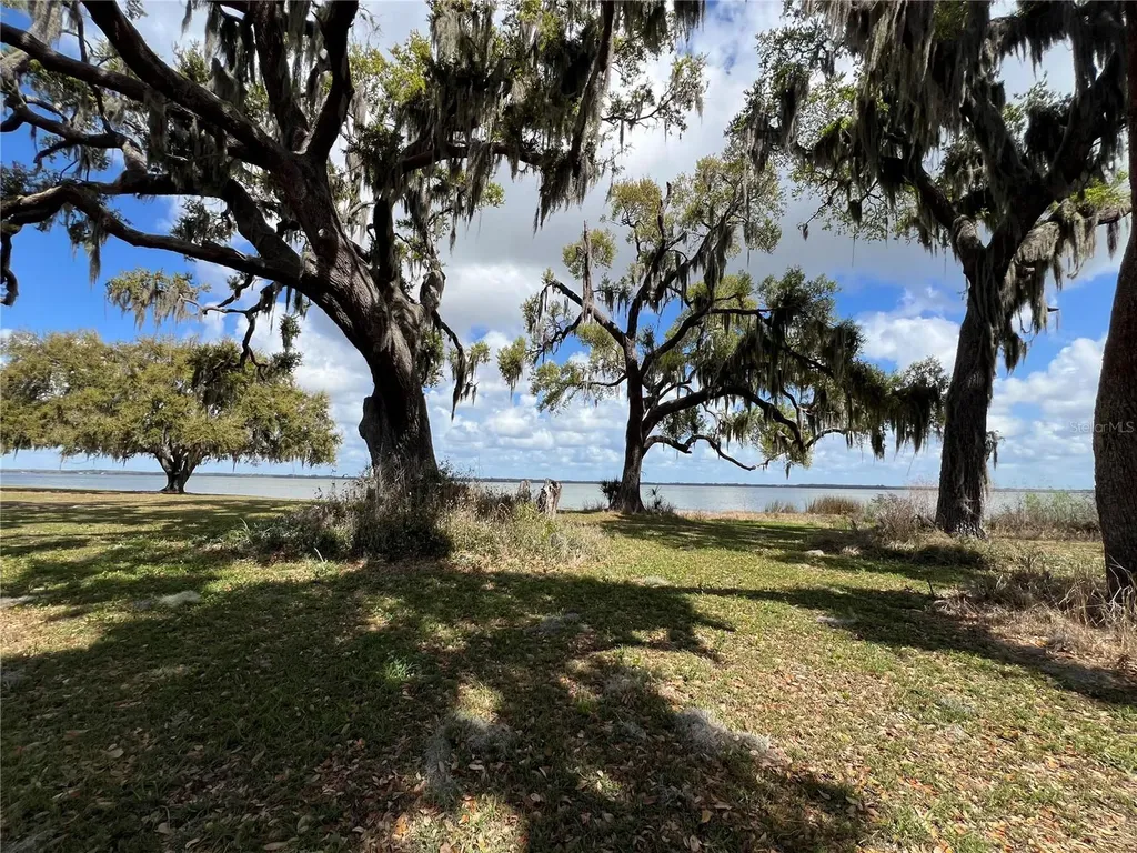 0 Apiary Circle Grand Island FL 32735