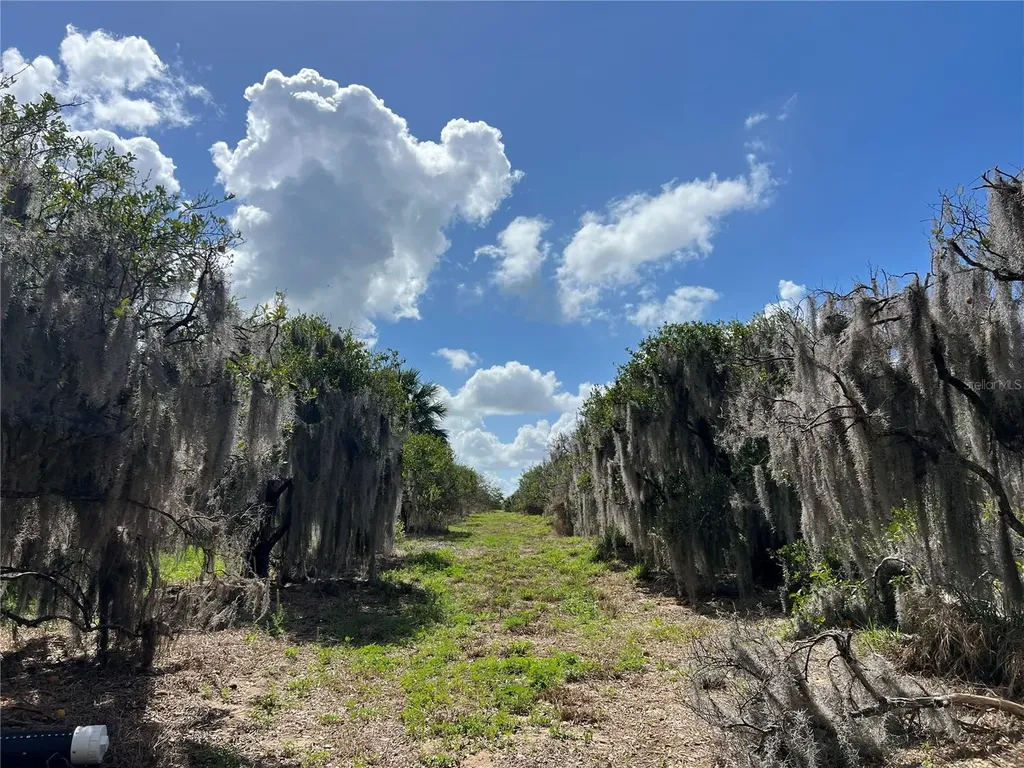 0 Apiary Circle Grand Island FL 32735