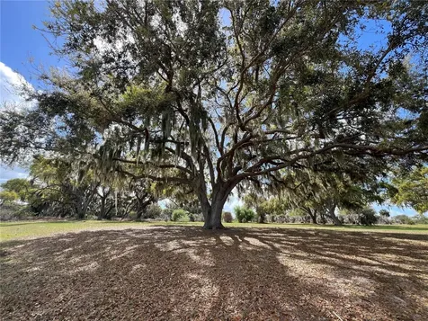0 Apiary Circle Grand Island FL 32735