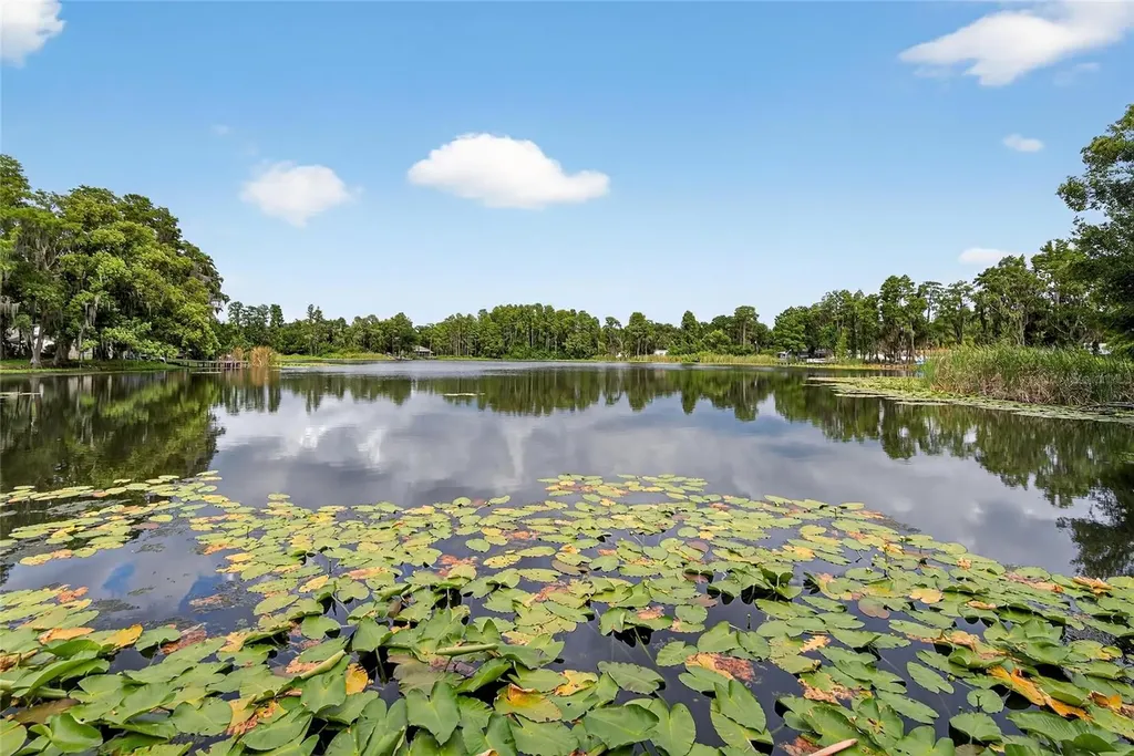 5028 School Road Land O Lakes FL 34638