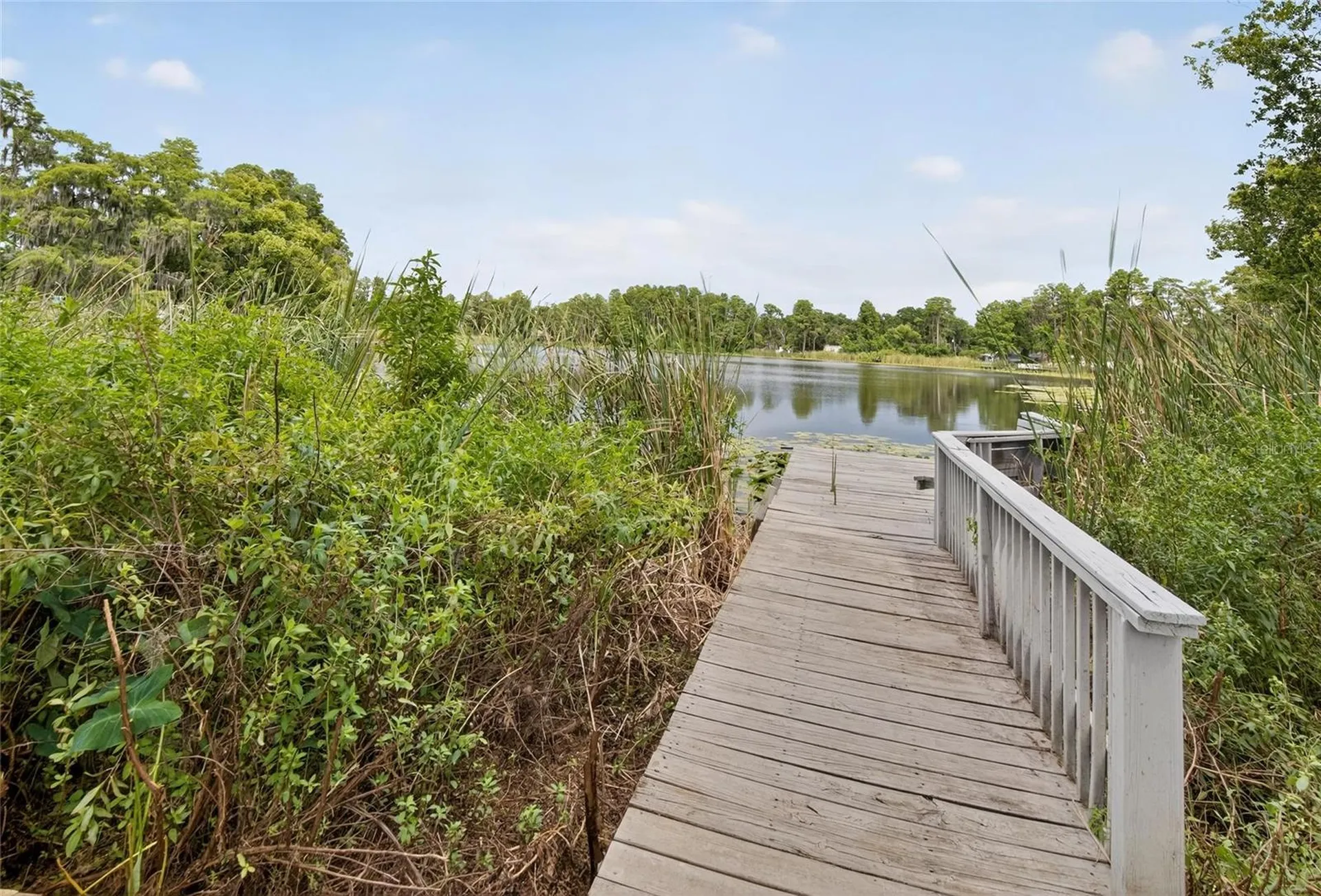 5028 School Road Land O Lakes FL 34638
