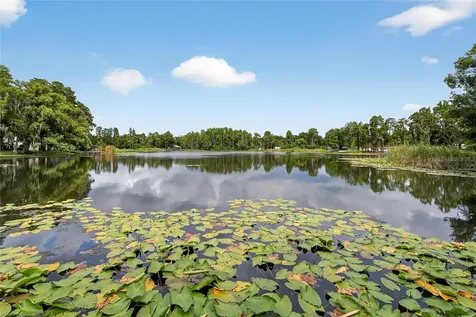 5028 School Road Land O Lakes FL 34638