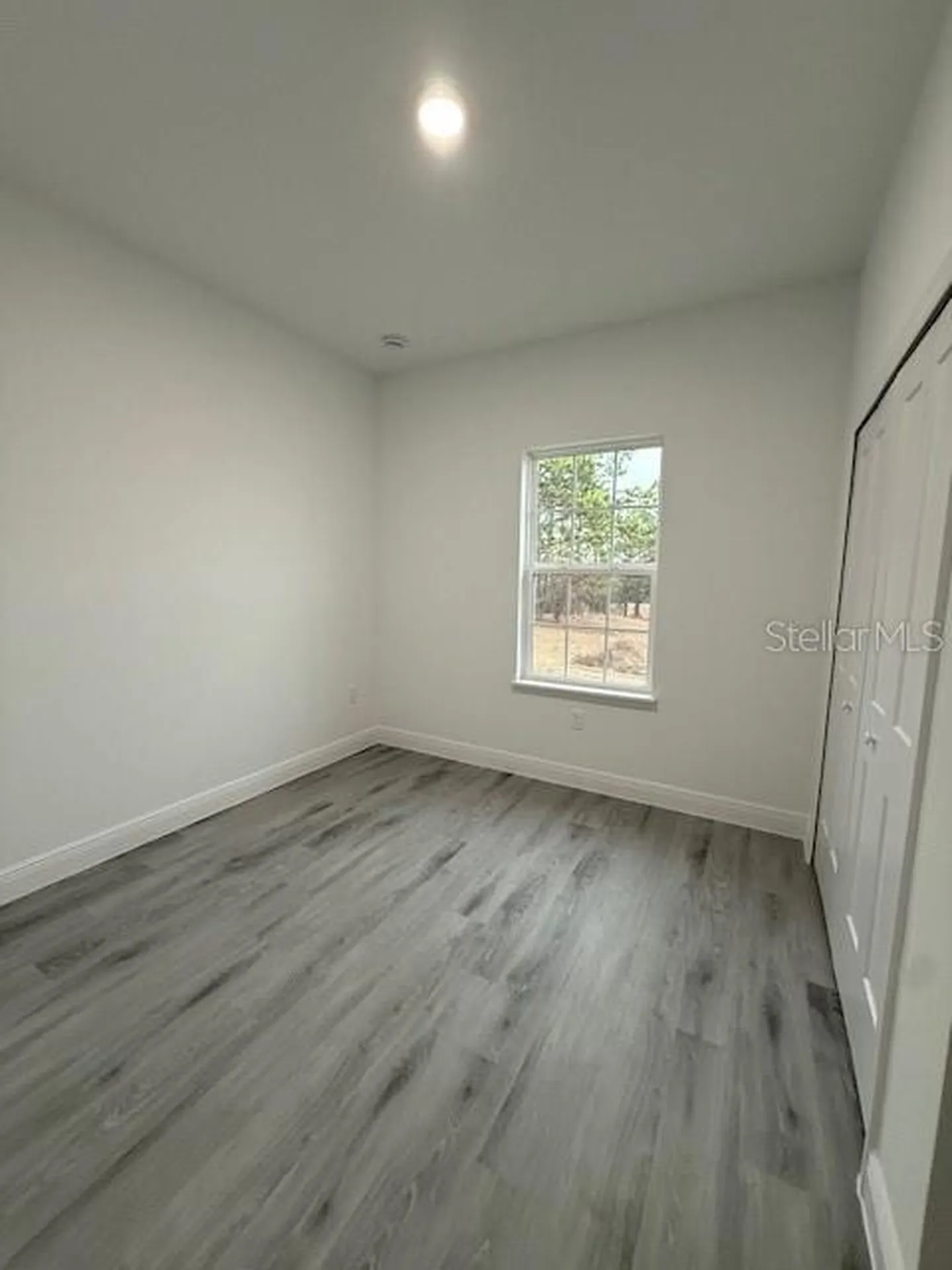 5669 N Claremont Drive Citrus Springs FL 34434