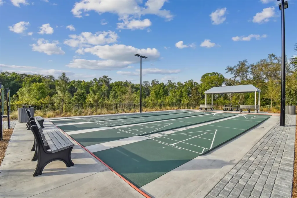 16710 Shell Bay Drive Land O Lakes FL 34638