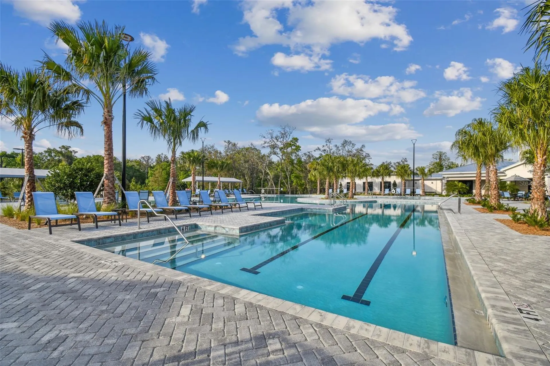 16710 Shell Bay Drive Land O Lakes FL 34638