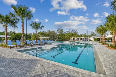 16710 Shell Bay Drive Land O Lakes FL 34638