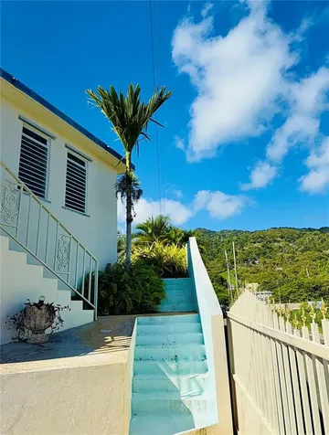 114 Route 901 Maunabo PR 00707
