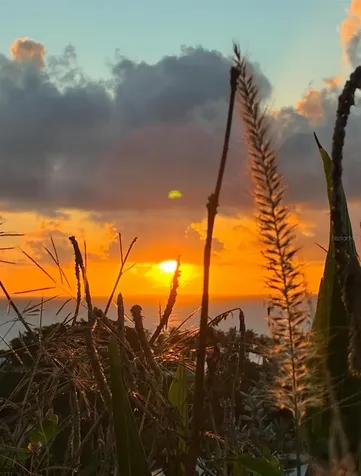 114 Route 901 Maunabo PR 00707