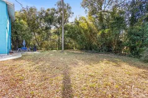 529 N Leavitt Avenue Orange City FL 32763