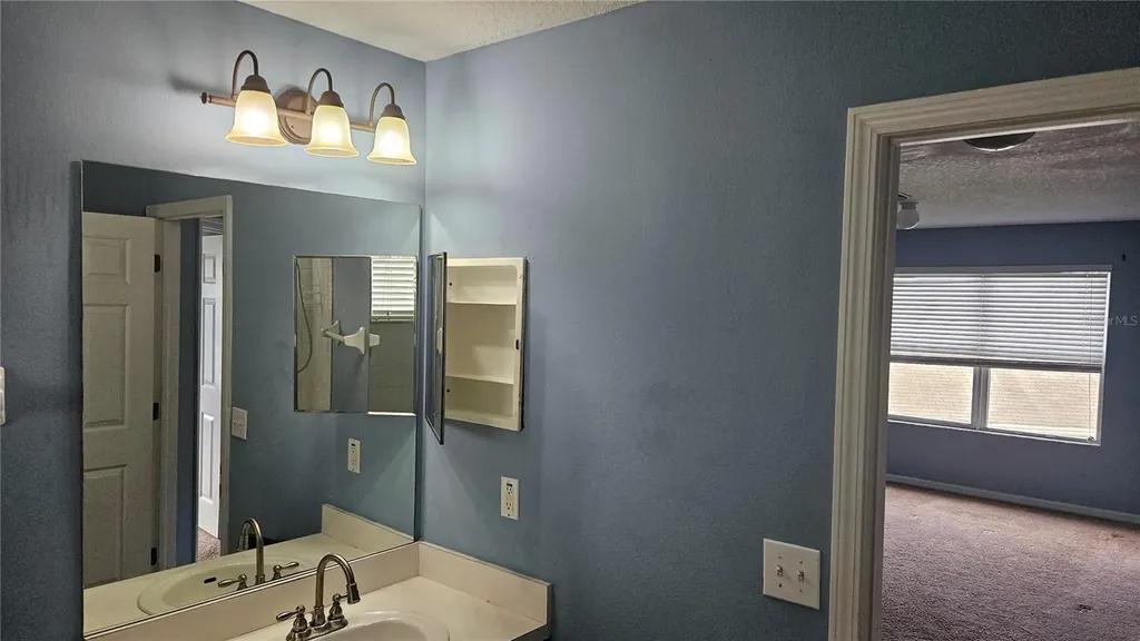 6836 Aramon Court Wesley Chapel FL 33545