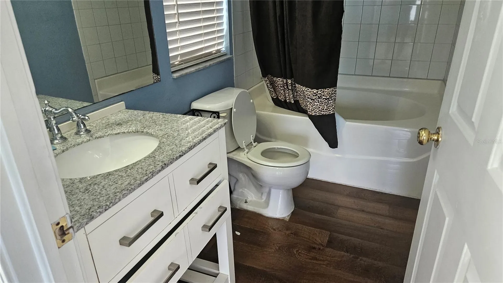 6836 Aramon Court Wesley Chapel FL 33545